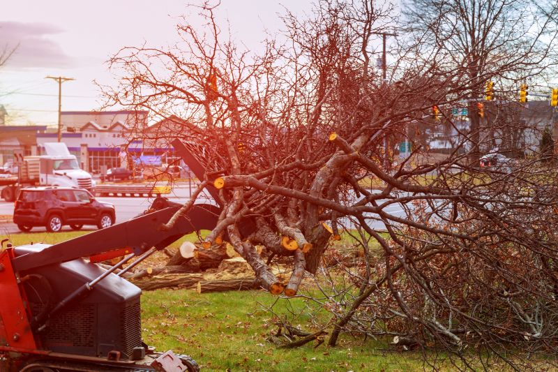 Equipment on a Land Clearing Site