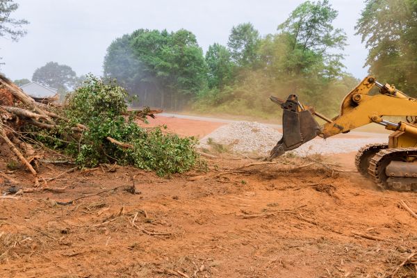 Ground Clearing in Helena