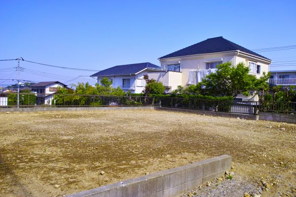 Cost of Lot Clearing Service in Helena