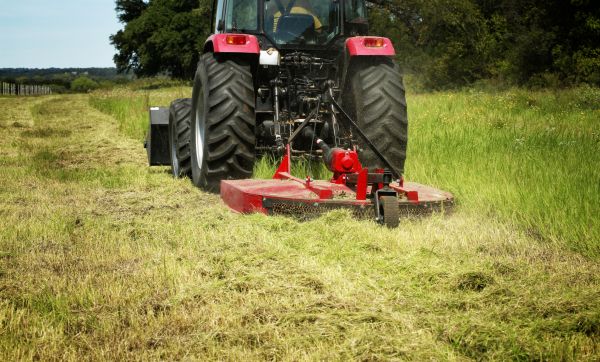 Brush Clearing Service in Helena