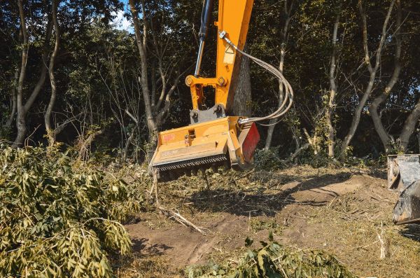 Brush Removal Service in Helena
