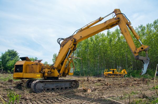 Farm Clearing in Helena