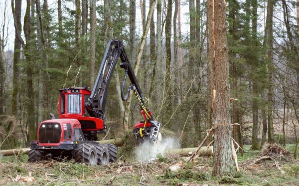 Forest Clearance Service in Helena