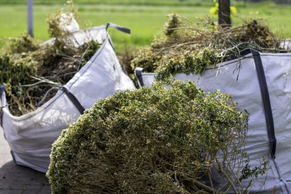 Cost of Bushes Clearing in Helena
