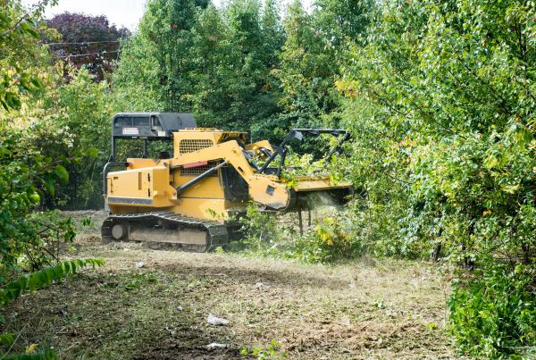 Pathway Clearing in Helena