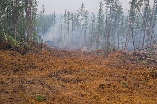 Hill Clearing in Helena