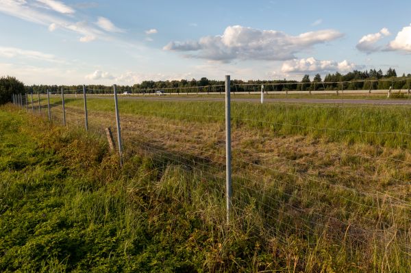 Property Line Clearing in Helena